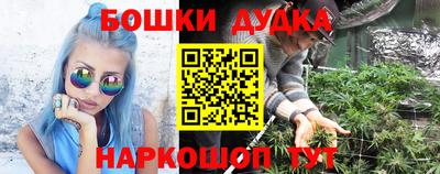 прущие крисы Лесосибирск
