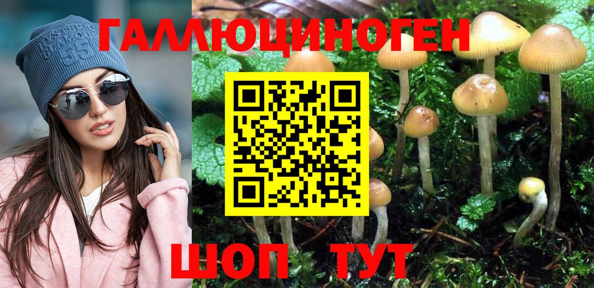 Галлюциногенные грибы прущие грибы Арзамас