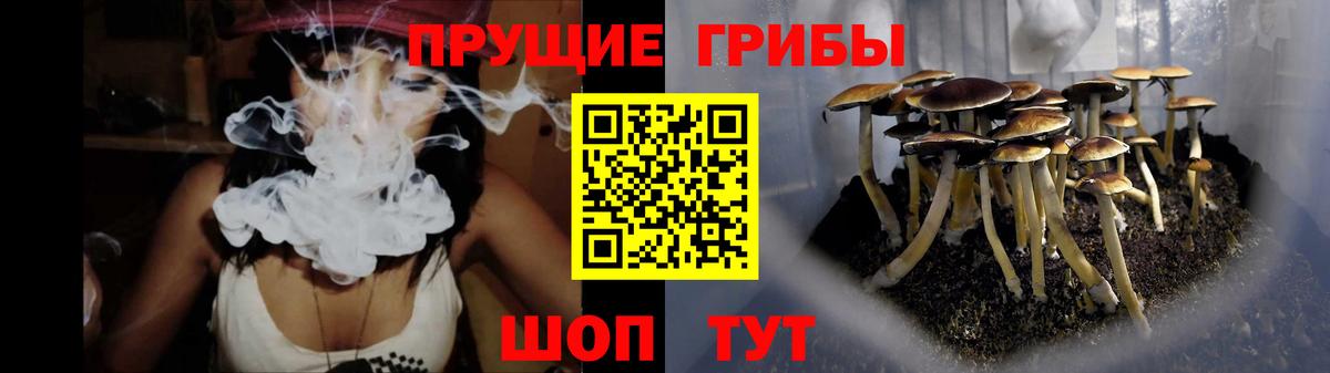 Арзамас  Псилоцибиновые грибы Cubensis  Вход с VPN 